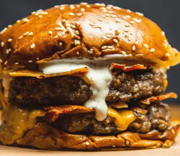 Image of an elk burger